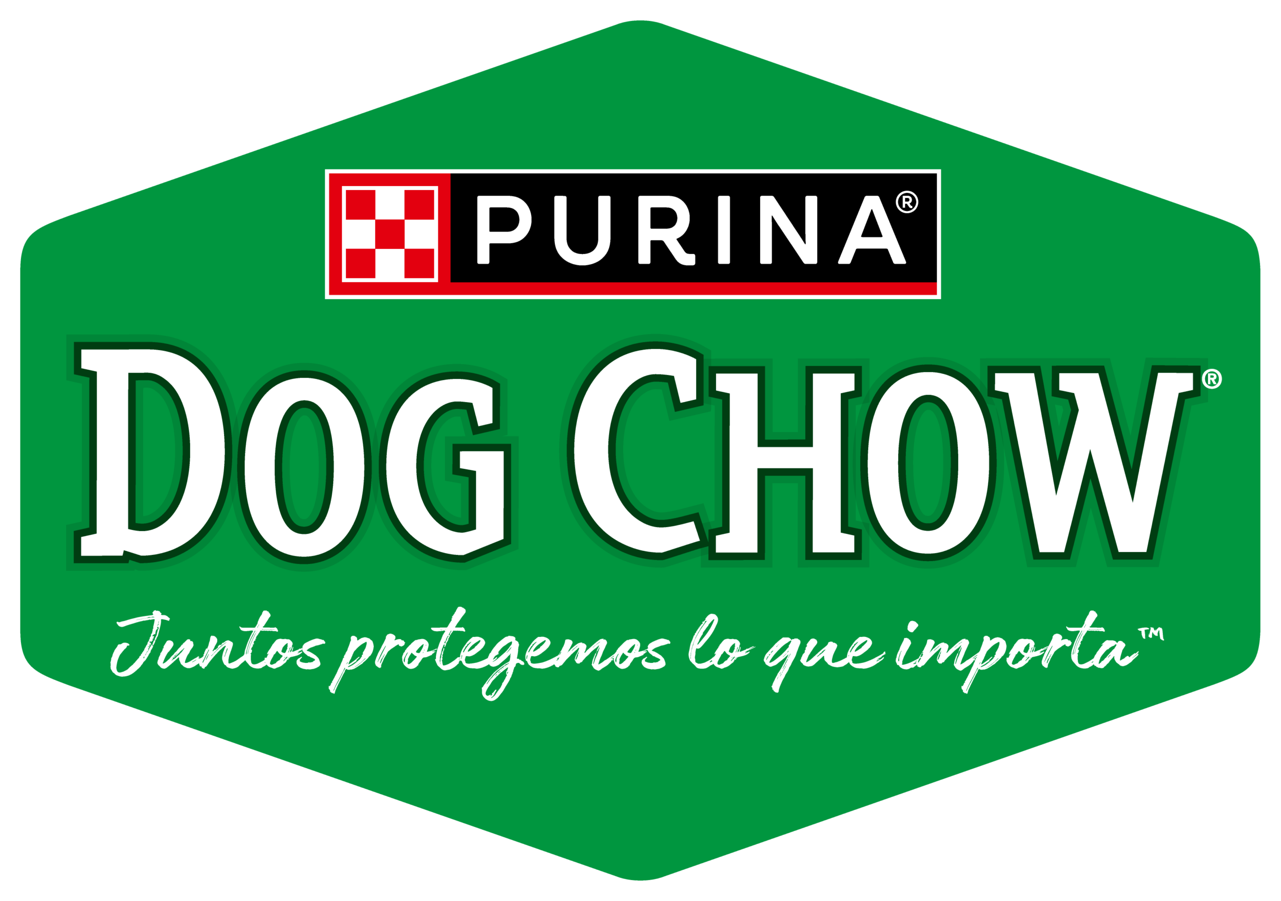 Curacaví dog chow
