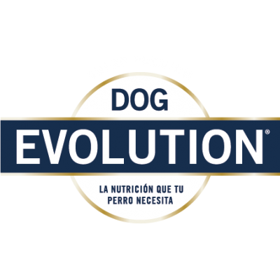 Curacaví dog evolution