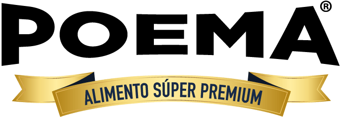 Curacaví logo poema