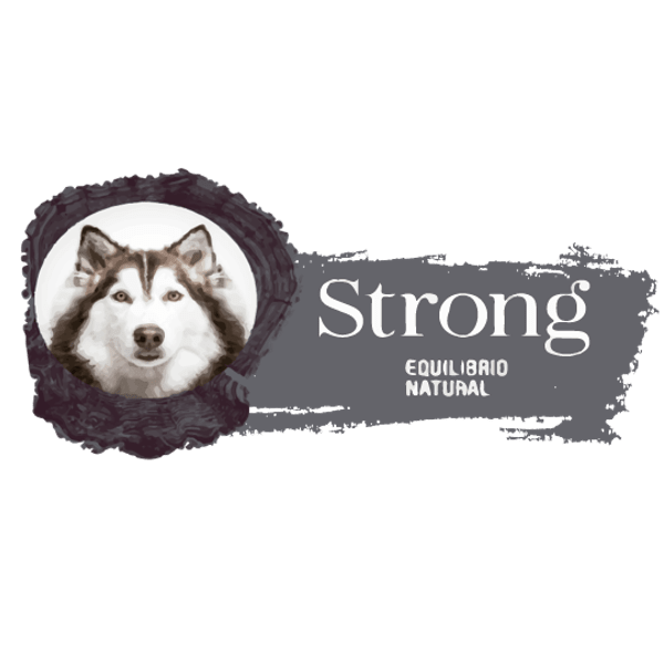 Curacaví strong